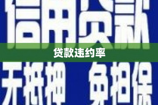 阜城贷款违约率