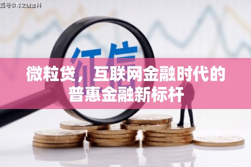 阜城微粒贷，互联网金融时代的普惠金融新标杆