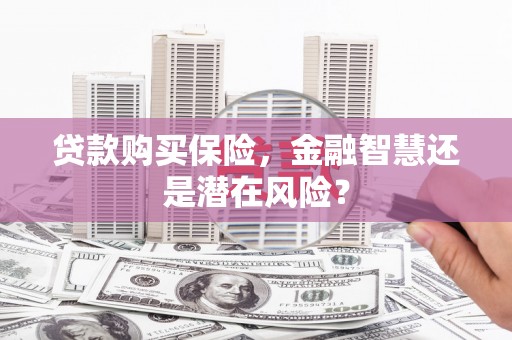 阜城贷款购买保险，金融智慧还是潜在风险？