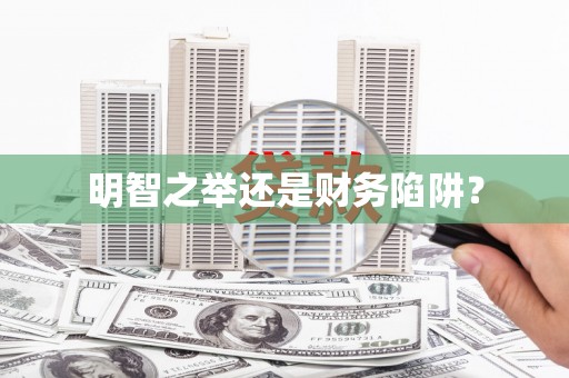 阜城明智之举还是财务陷阱？