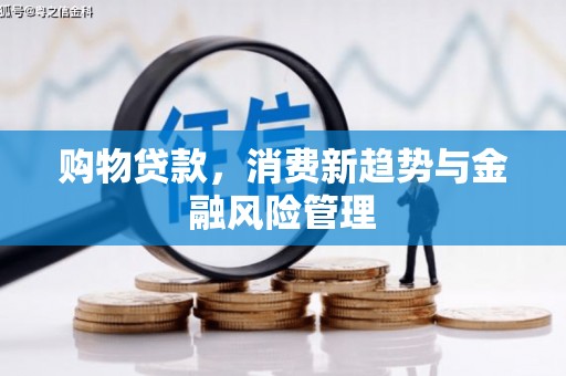 阜城购物贷款，消费新趋势与金融风险管理