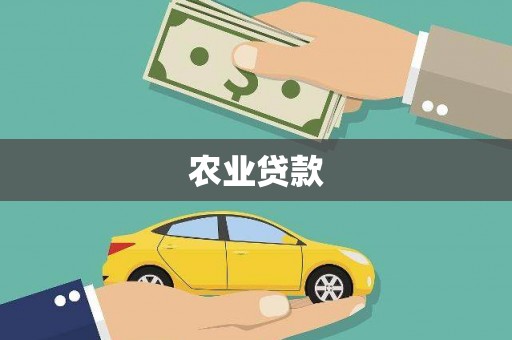 阜城农业贷款