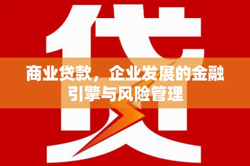 阜城商业贷款，企业发展的金融引擎与风险管理