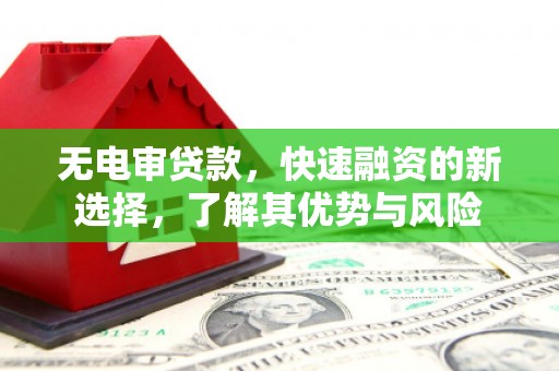 阜城无电审贷款，快速融资的新选择，了解其优势与风险