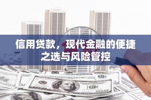 阜城信用贷款，现代金融的便捷之选与风险管控