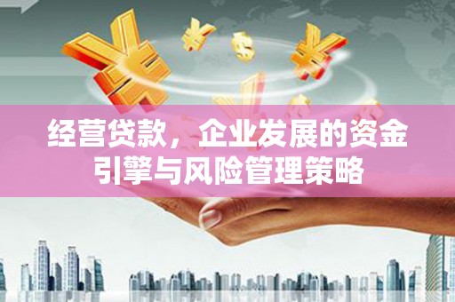 阜城经营贷款，企业发展的资金引擎与风险管理策略
