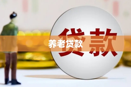 阜城养老贷款