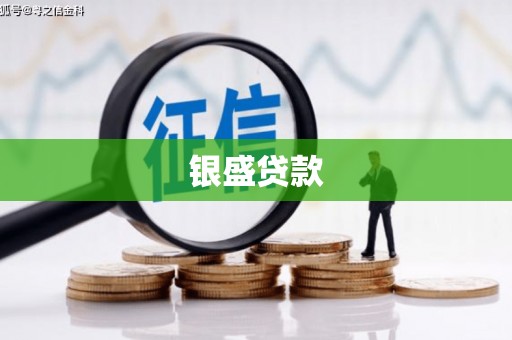 阜城银盛贷款