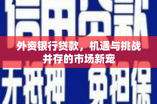 阜城外资银行贷款，机遇与挑战并存的市场新宠
