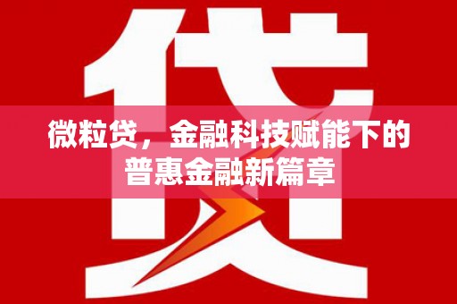 阜城微粒贷，金融科技赋能下的普惠金融新篇章