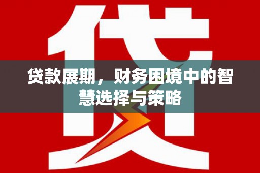 阜城贷款展期，财务困境中的智慧选择与策略