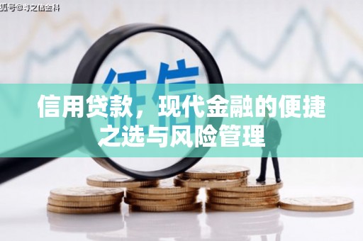 阜城信用贷款，现代金融的便捷之选与风险管理