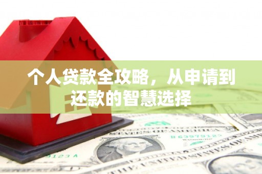 阜城个人贷款全攻略，从申请到还款的智慧选择