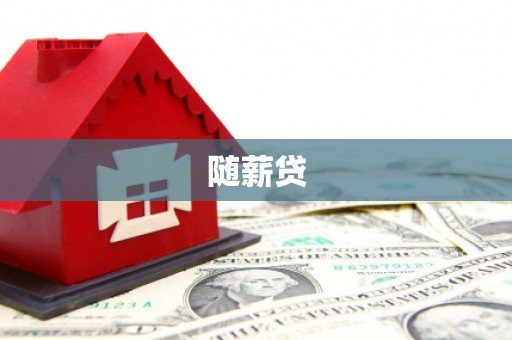 阜城随薪贷