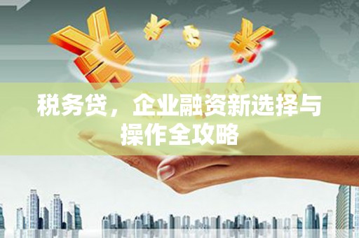 阜城税务贷，企业融资新选择与操作全攻略