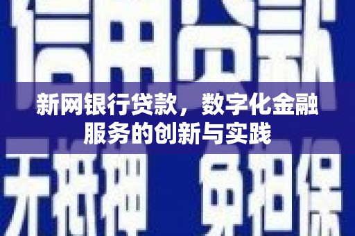 阜城新网银行贷款，数字化金融服务的创新与实践