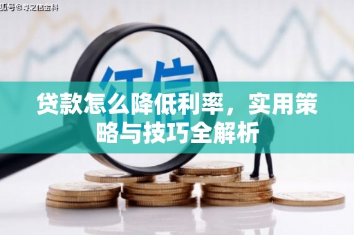 阜城贷款怎么降低利率，实用策略与技巧全解析