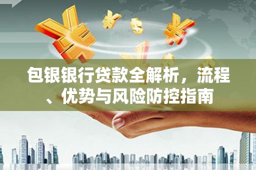 阜城包银银行贷款全解析，流程、优势与风险防控指南