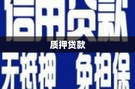 阜城质押贷款
