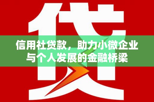 阜城信用社贷款，助力小微企业与个人发展的金融桥梁