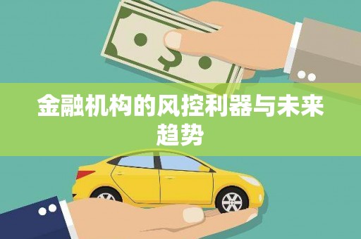 阜城金融机构的风控利器与未来趋势