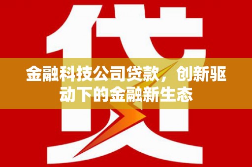 阜城金融科技公司贷款，创新驱动下的金融新生态