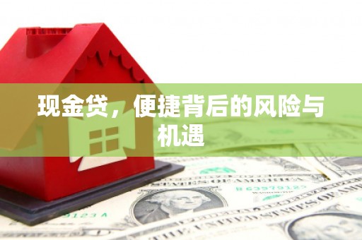 阜城现金贷，便捷背后的风险与机遇