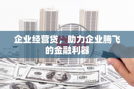 阜城企业经营贷，助力企业腾飞的金融利器