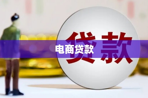 阜城电商贷款