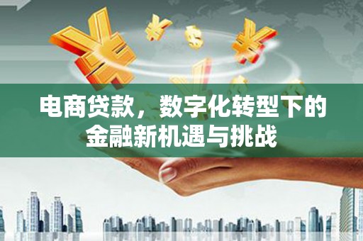 阜城电商贷款，数字化转型下的金融新机遇与挑战