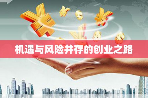 阜城机遇与风险并存的创业之路