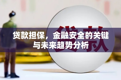 阜城贷款担保，金融安全的关键与未来趋势分析