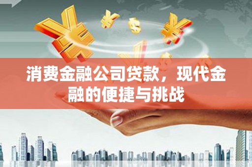 阜城消费金融公司贷款，现代金融的便捷与挑战