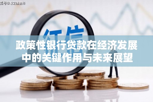 阜城政策性银行贷款在经济发展中的关键作用与未来展望