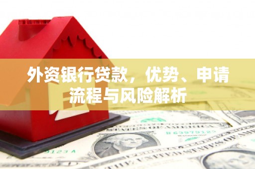 阜城外资银行贷款，优势、申请流程与风险解析