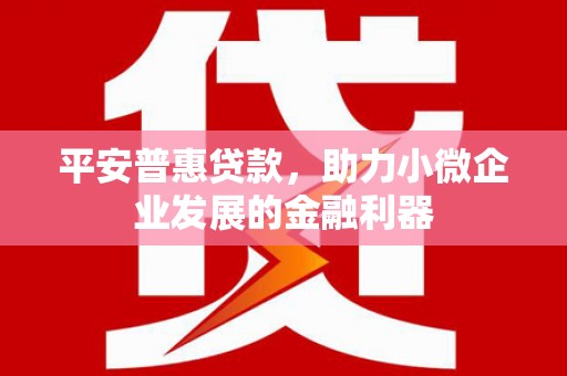 阜城平安普惠贷款，助力小微企业发展的金融利器