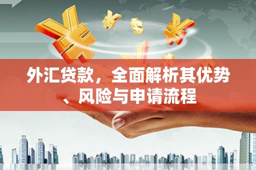 阜城外汇贷款，全面解析其优势、风险与申请流程