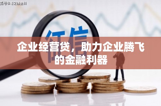 阜城企业经营贷，助力企业腾飞的金融利器