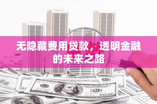 阜城无隐藏费用贷款，透明金融的未来之路
