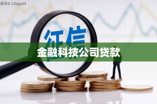 阜城金融科技公司贷款