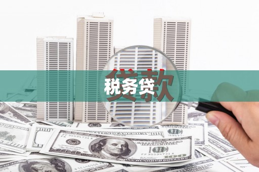 阜城税务贷