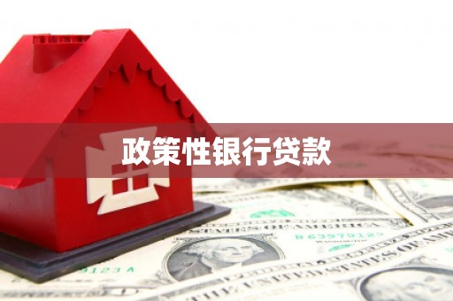 阜城政策性银行贷款
