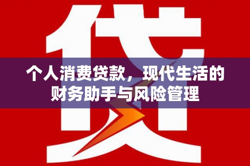 阜城个人消费贷款，现代生活的财务助手与风险管理