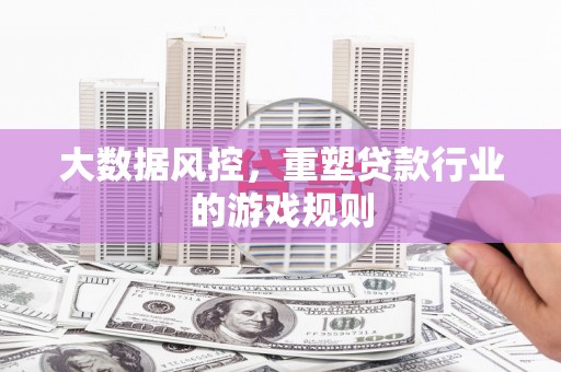 阜城大数据风控，重塑贷款行业的游戏规则
