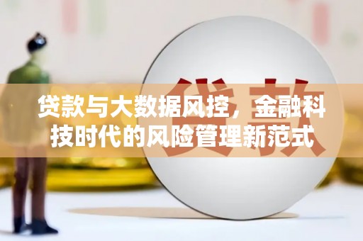 阜城贷款与大数据风控，金融科技时代的风险管理新范式