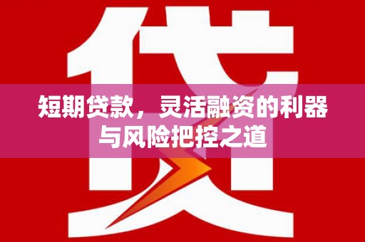 阜城短期贷款，灵活融资的利器与风险把控之道