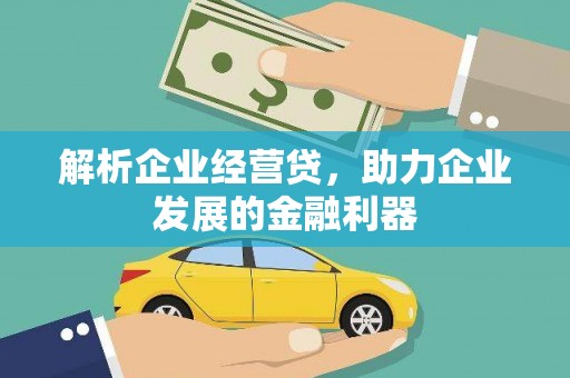 阜城解析企业经营贷，助力企业发展的金融利器