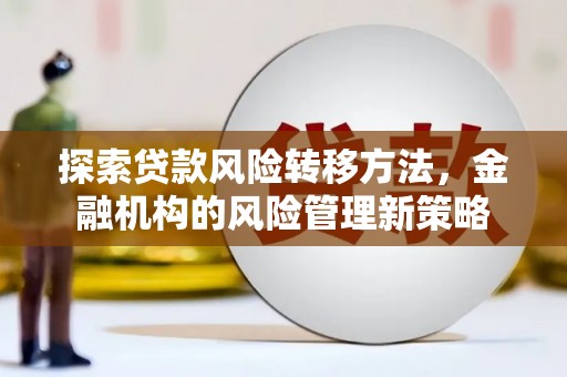 阜城探索贷款风险转移方法，金融机构的风险管理新策略
