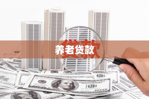 阜城养老贷款