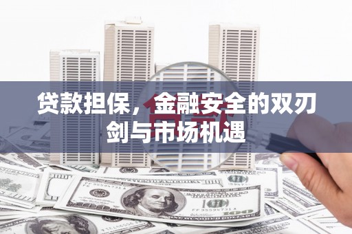 阜城贷款担保，金融安全的双刃剑与市场机遇